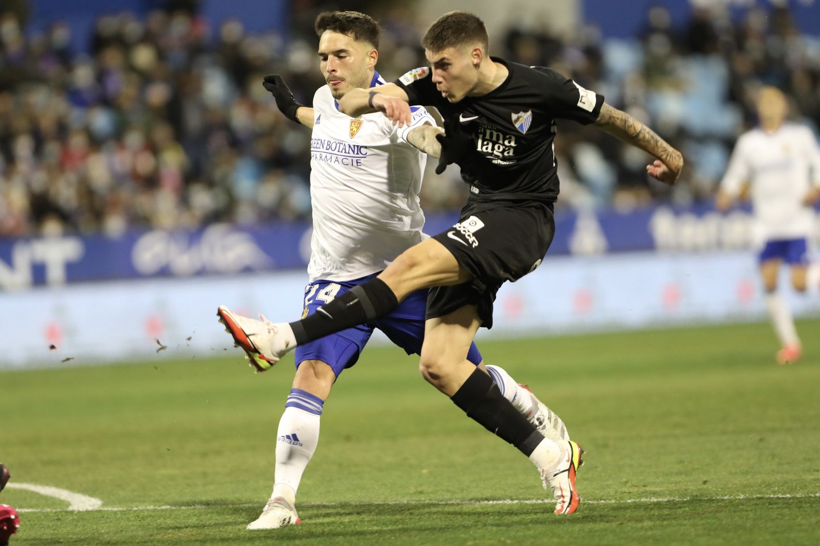 Las fotos del Zaragoza - Málaga CF