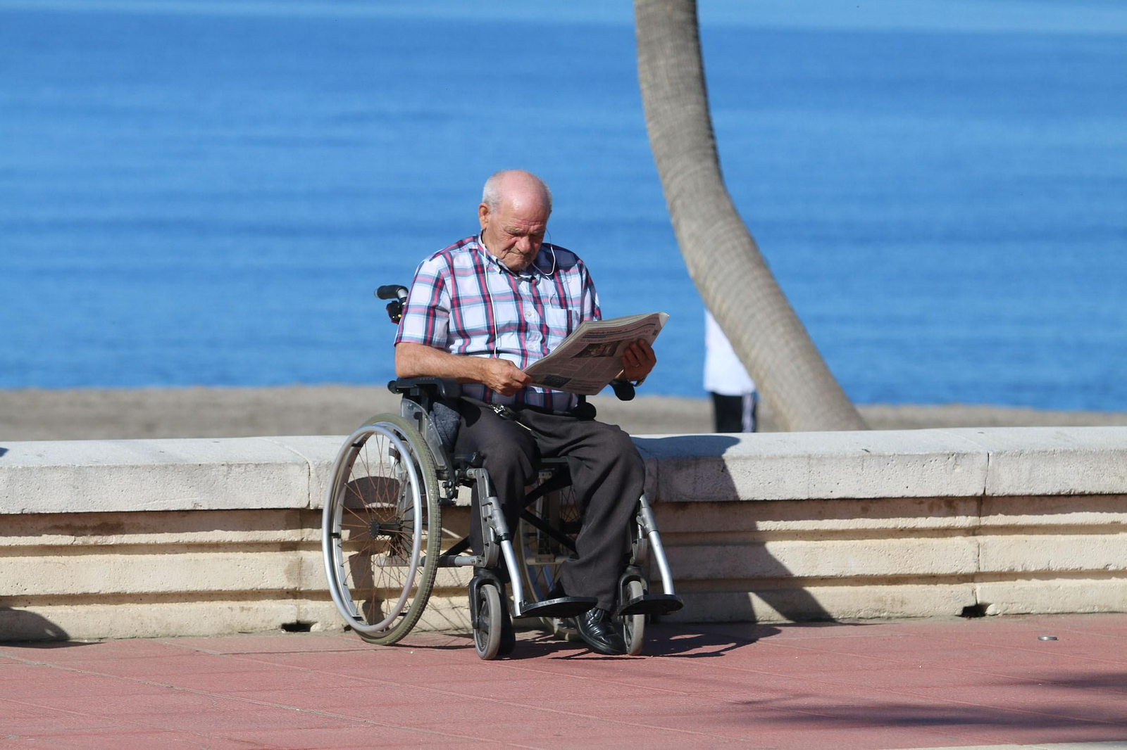 Las imágenes de la afluencia masiva de deportistas al paseo marítimo