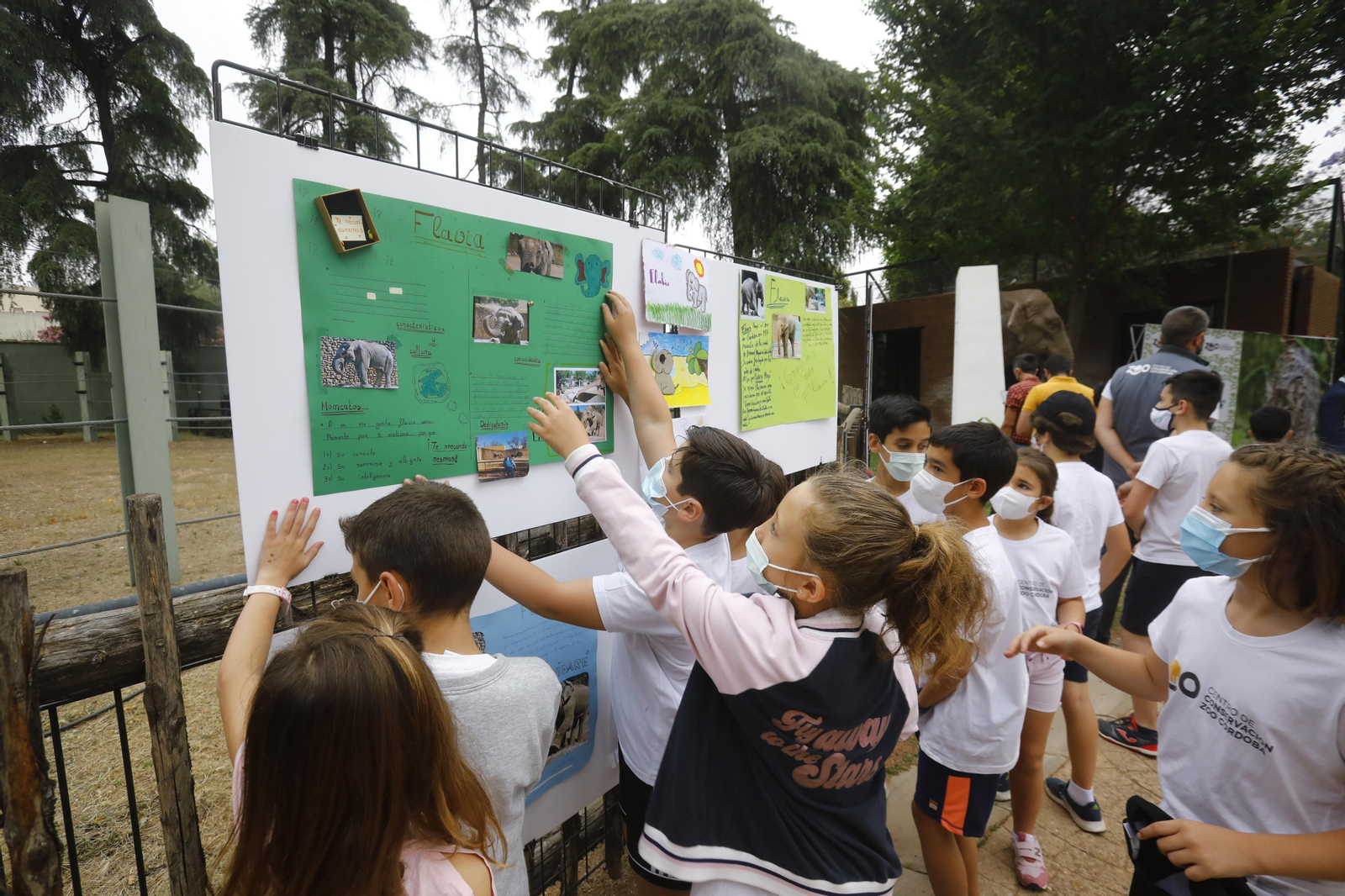 El homenaje en el zoo de Córdoba a la elefanta Flavia, en fotografías