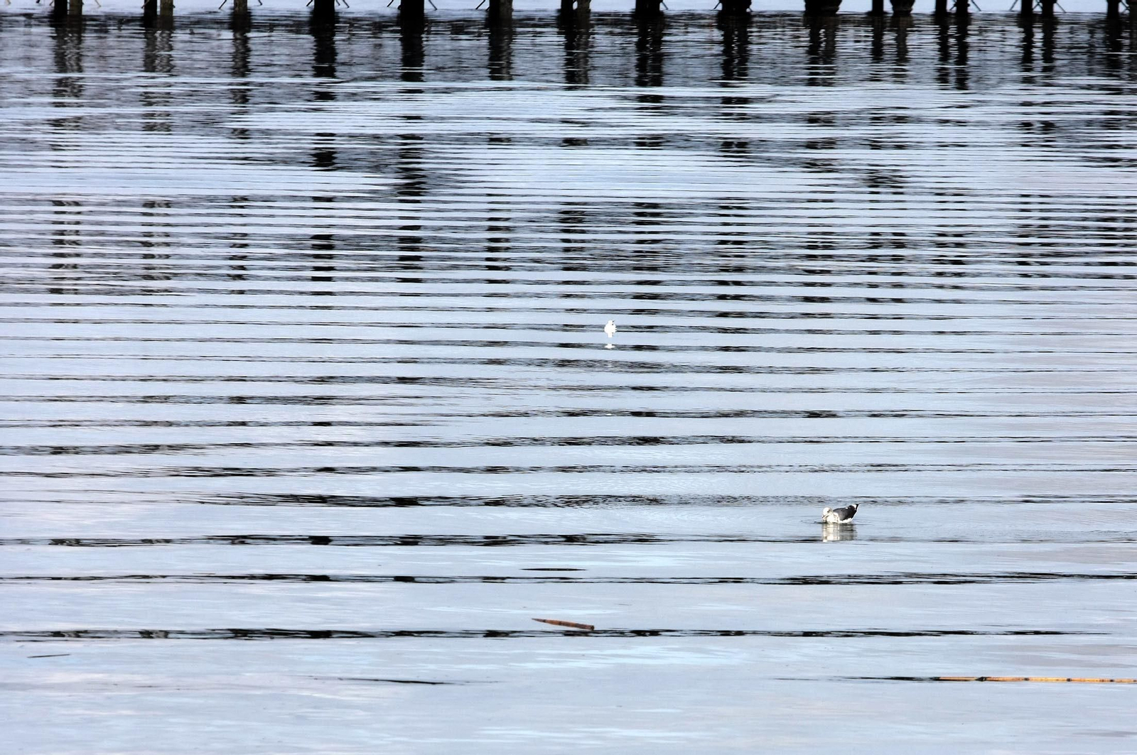 Imágenes del sábado 11 de noviembre en Huelva