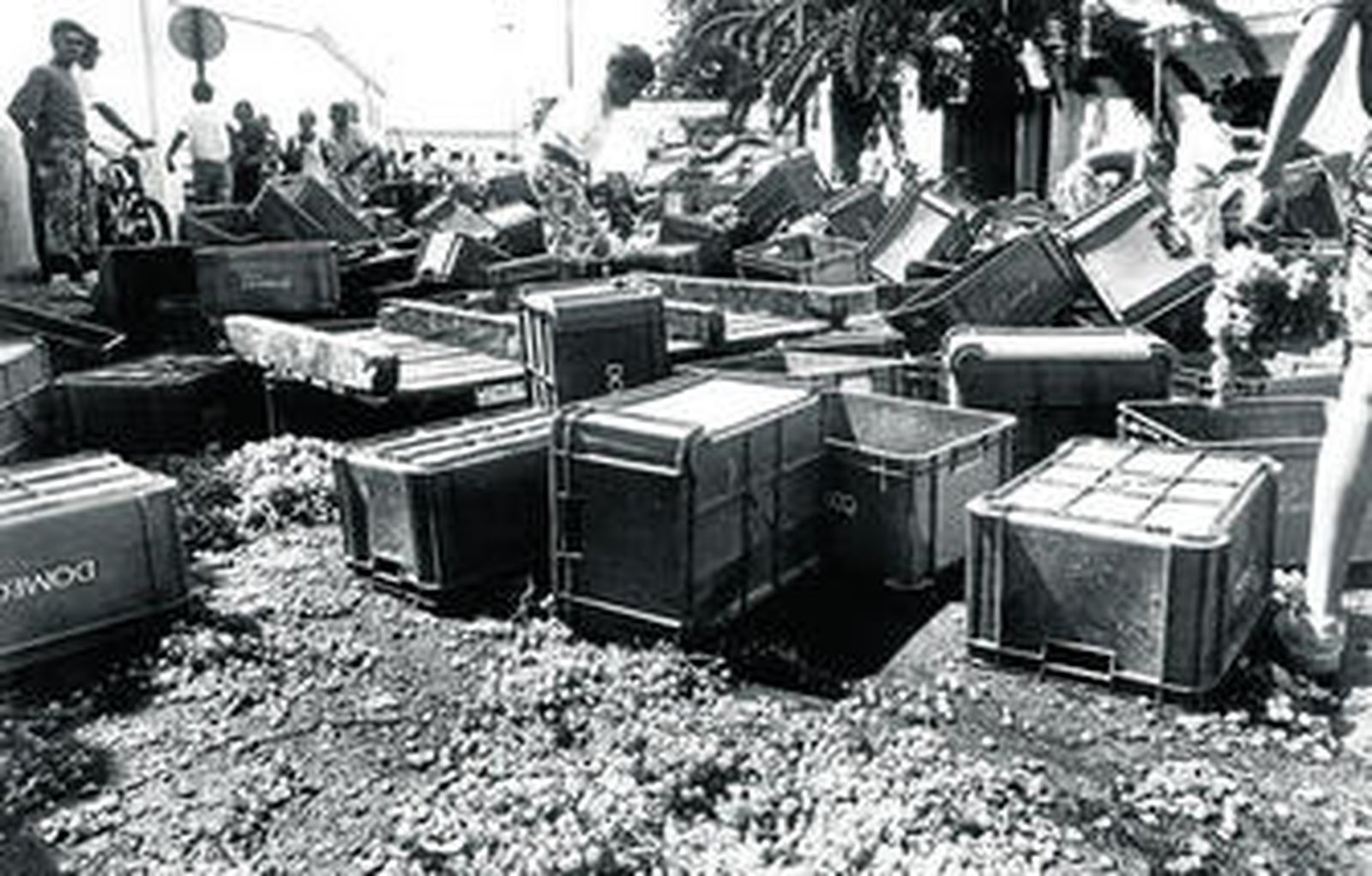 La carga de uva de un camión es volcada cortando al tráfico la Ronda del Caracol.