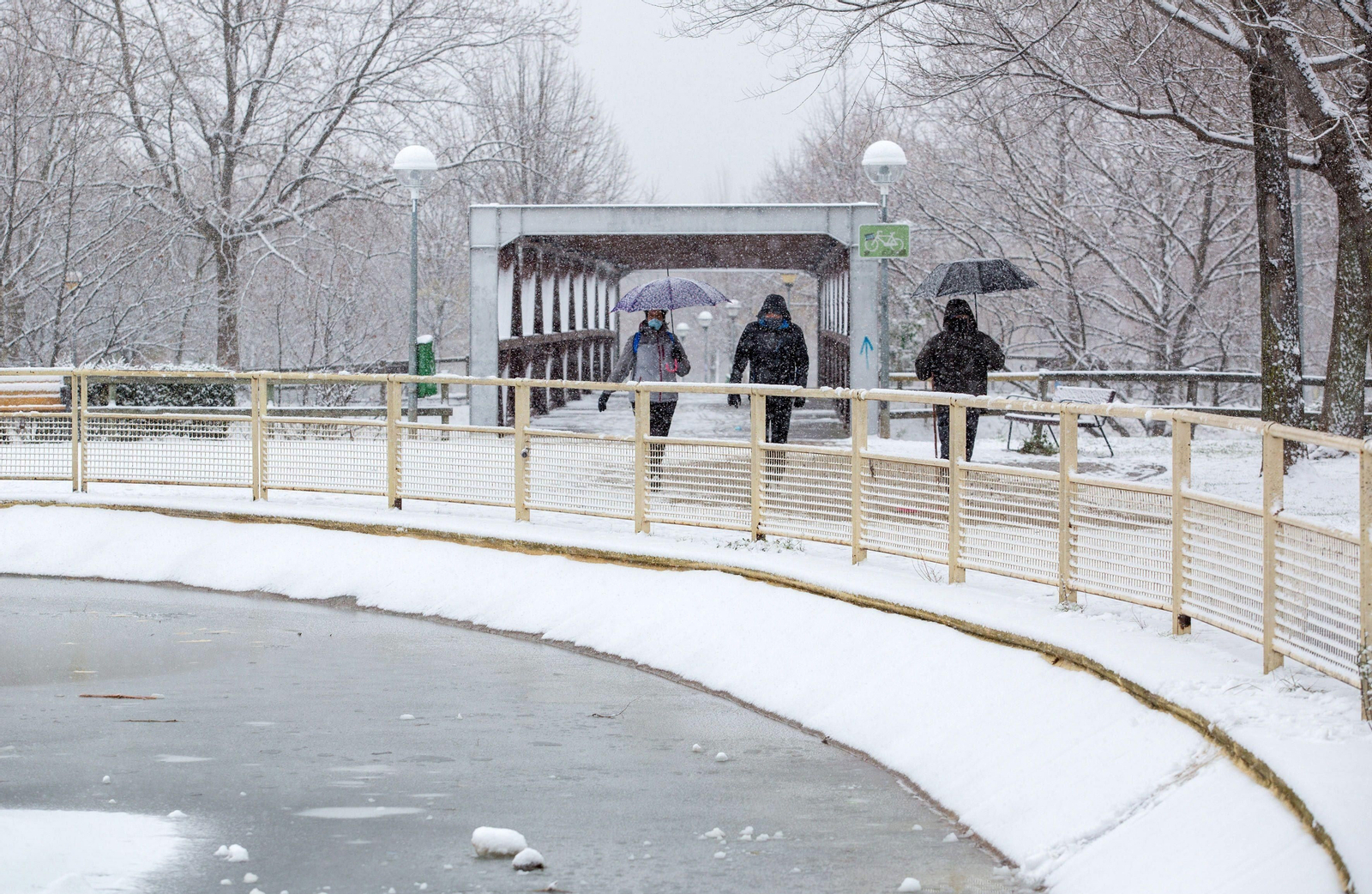 El segundo día del temporal 'Filomena' en imágenes: más nieve y caos