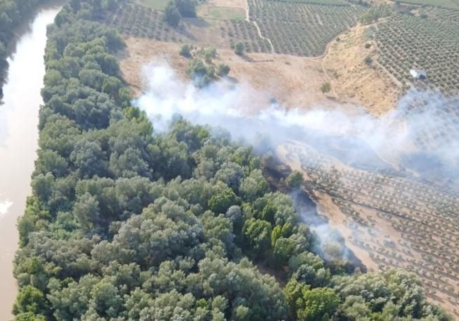 Incendio en Montoro.