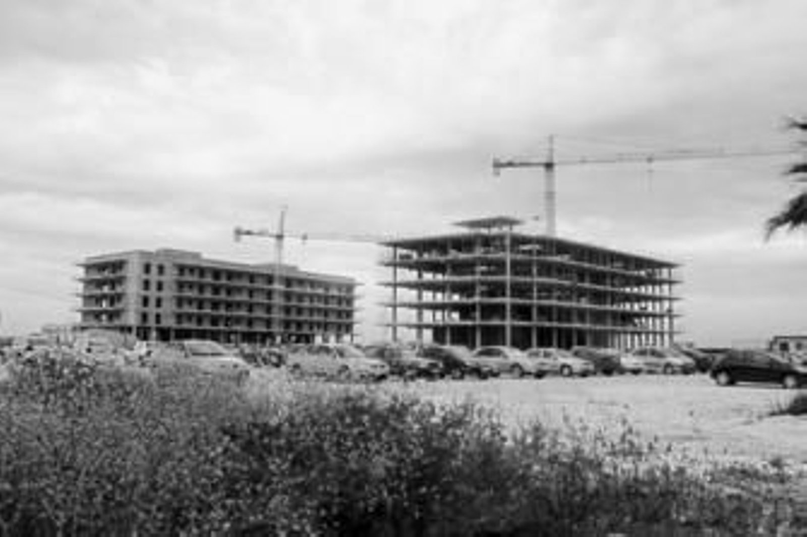 Viviendas protegidas en construcción en la localidad sevillana de San José de La Rinconada. Viviendas protegidas en construcción en la localidad sevillana de San José de La Rinconada.