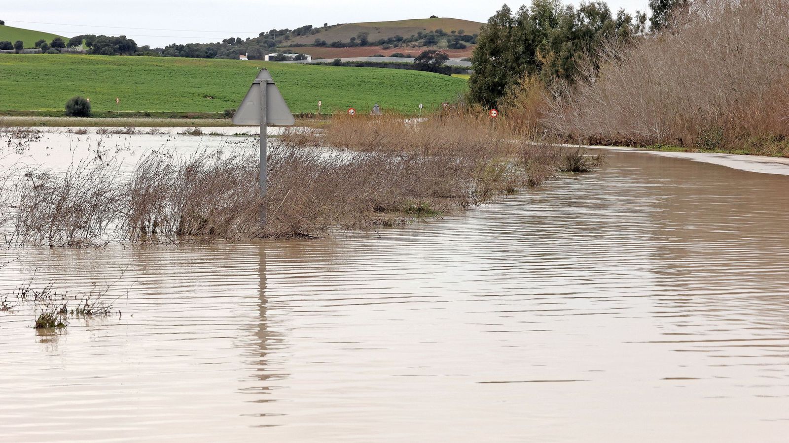 El Guadalete comienza a bajar su nivel poco a poco por la zona rural de Jerez
