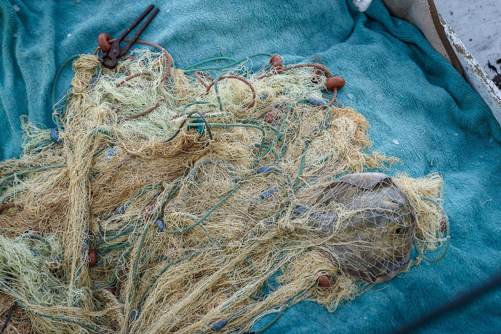 A bordo de la patrullera 'Río Agueda'