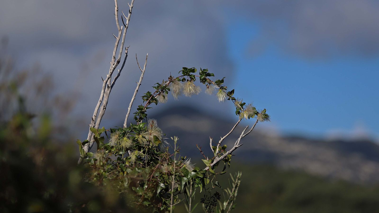 Carretera de Las Pantallas en Algeciras