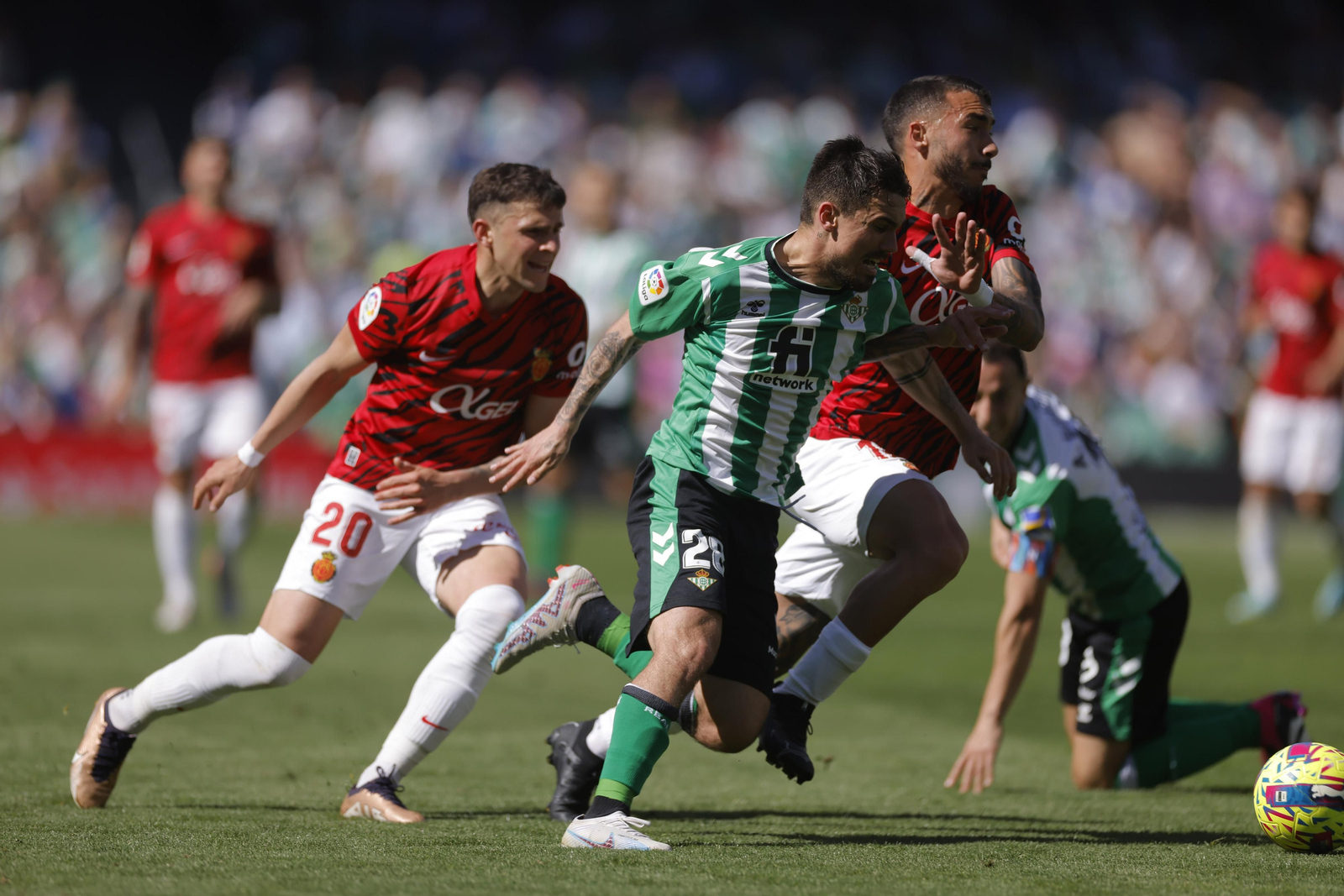 Las Imágenes del Betis-Mallorca
