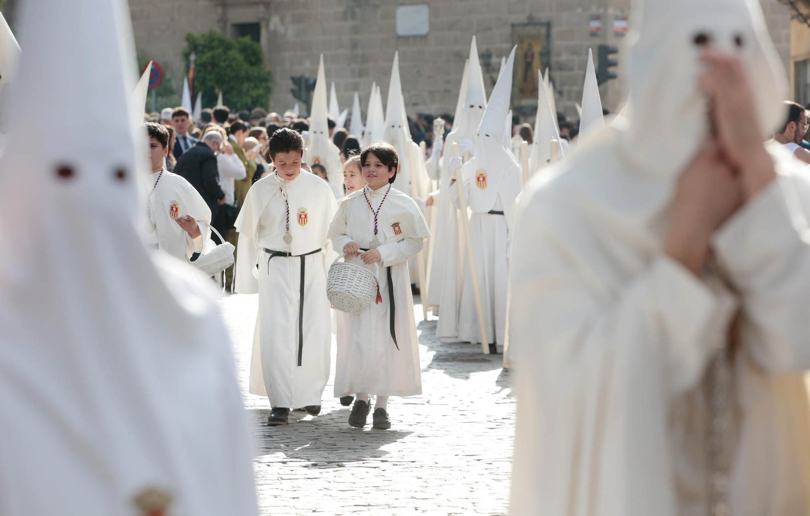 La Hermandad del Transporte en imágenes el Domingo de Ramos del 2025 en Jerez