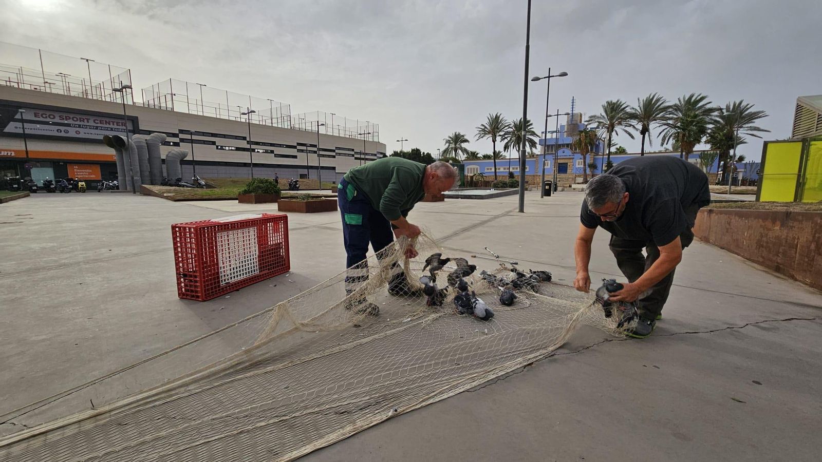 Captura en las Almadrabillas