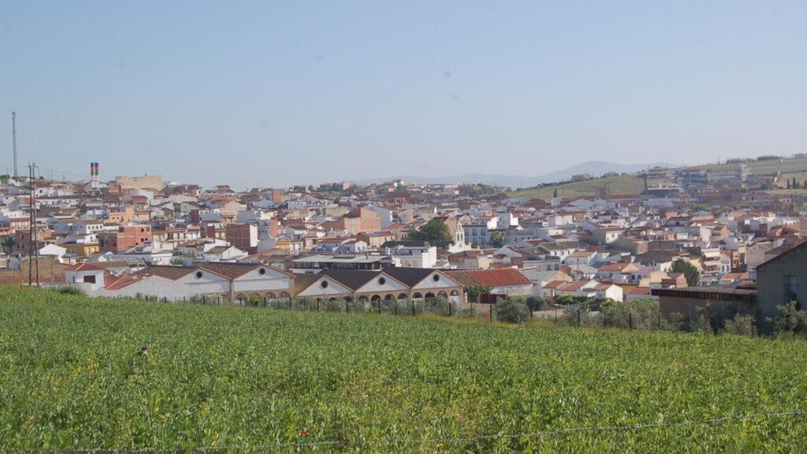 Panorámica de Moriles.