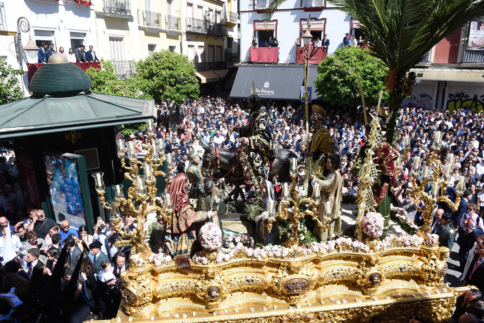 La Hermandad de La Borriquita, en imágenes