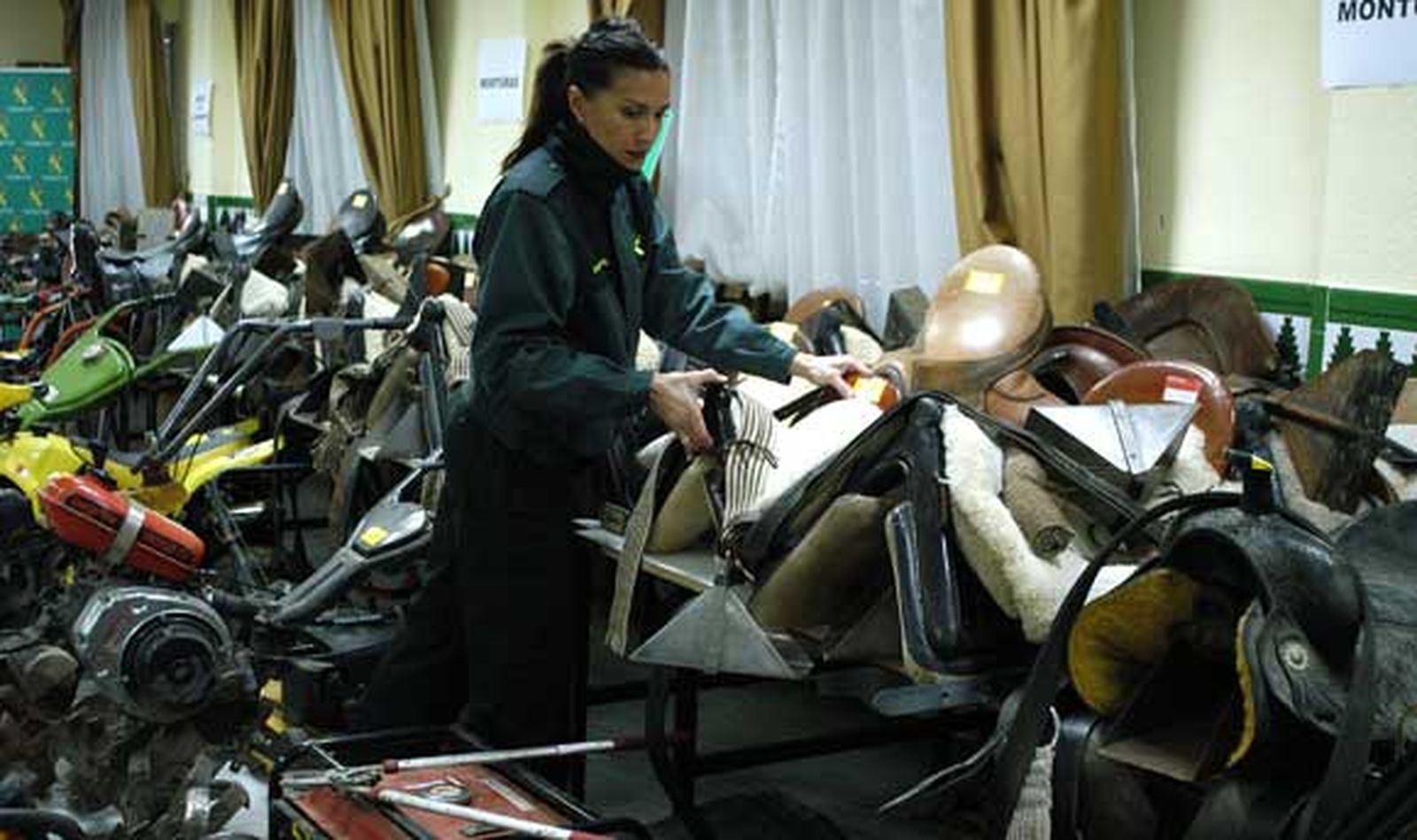 Cae una red que asaltaba fincas para robar carruajes y monturas de caballos