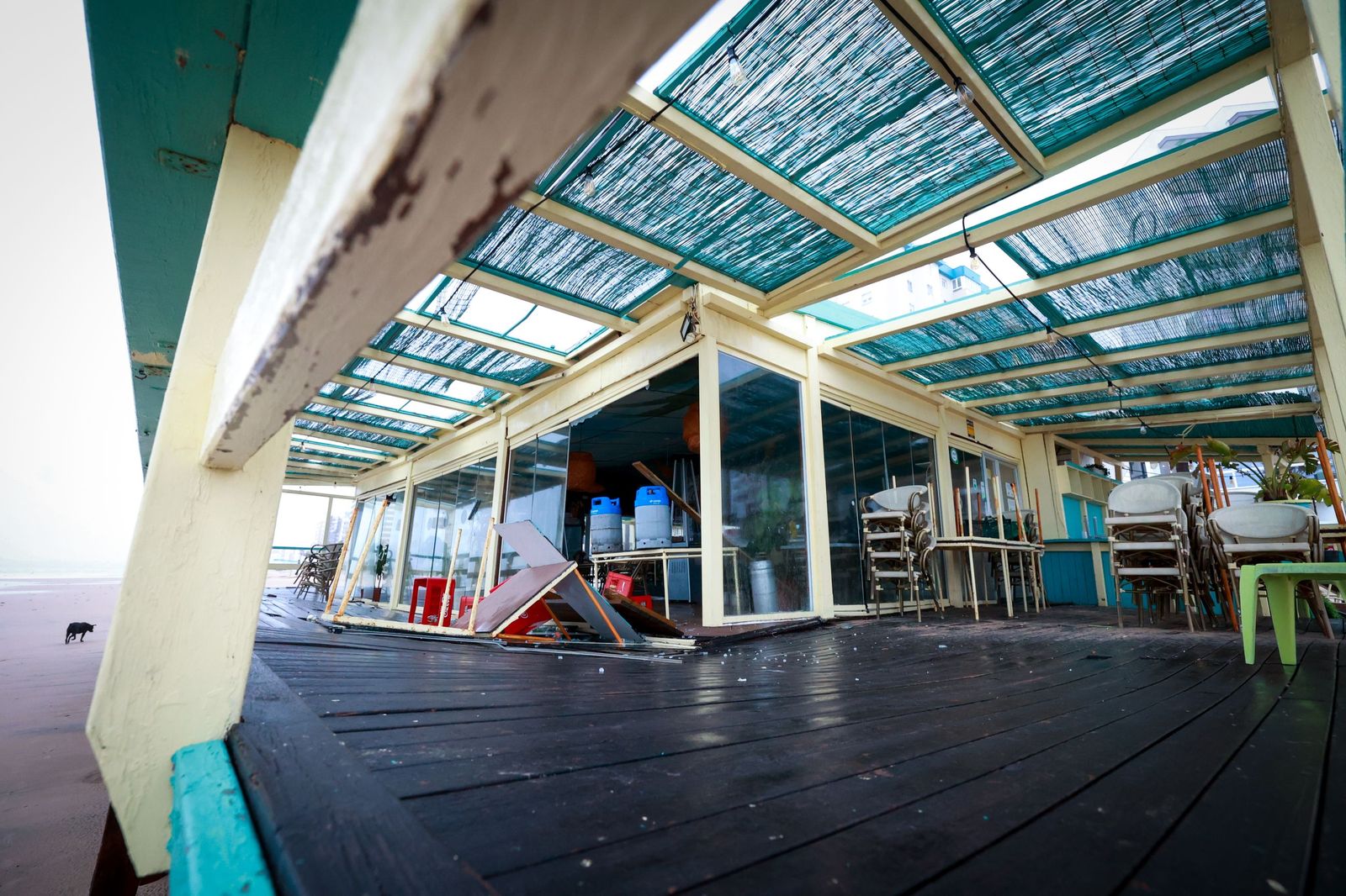 Imágenes de los principales destrozos provocados por la borrasca Leonardo en Cádiz