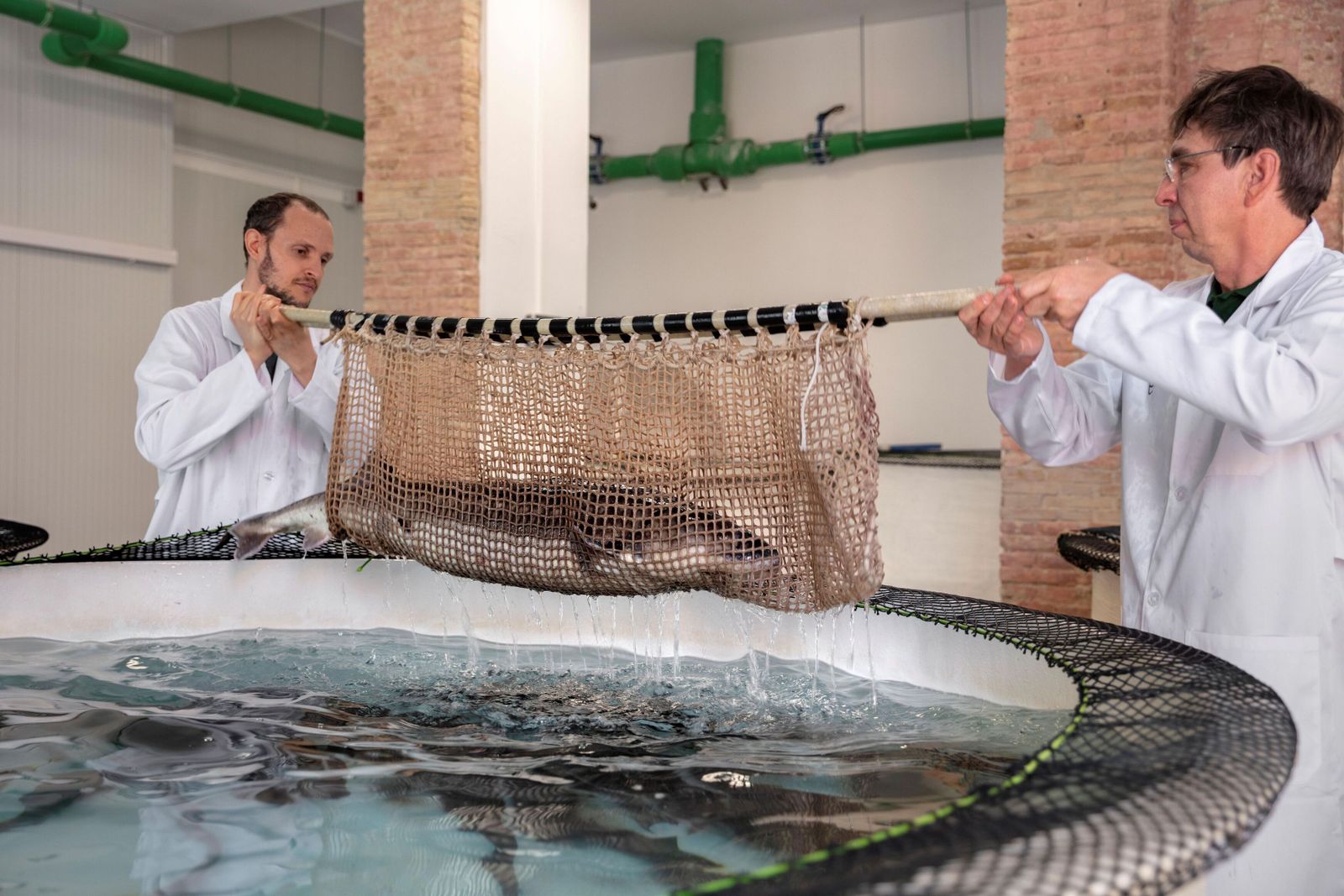 Caviar Riofrío ha invertido más de medio millón de euros