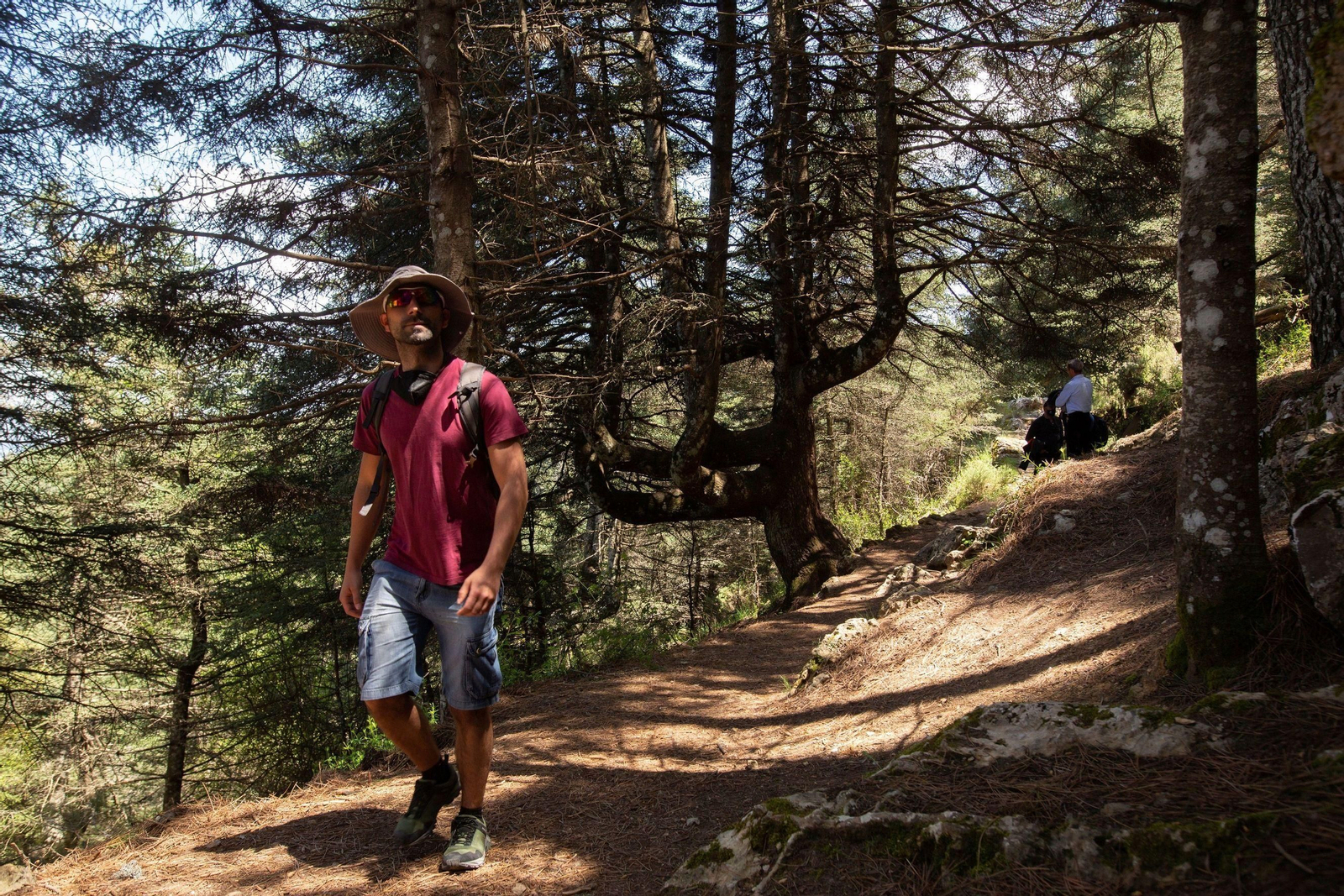 La Sierra de las Nieves, en fotos