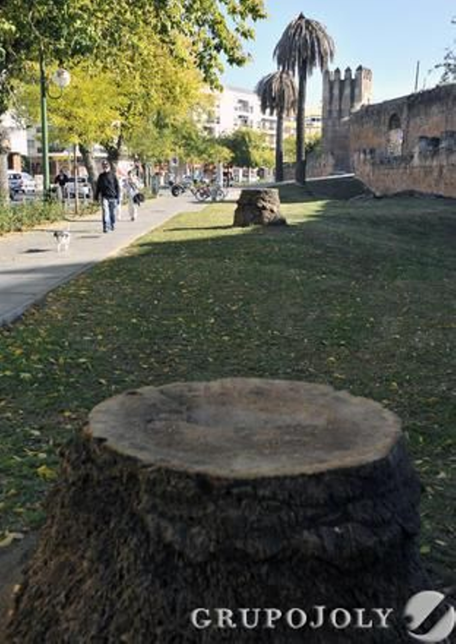 Foto: Juan Carlos Vázquez