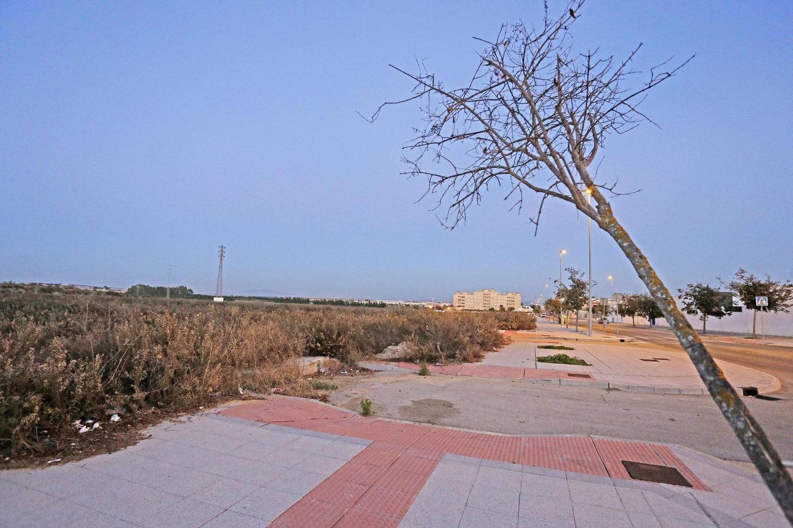 Imagen de la calle Costa Azahar, en la zona residencial de la Hacienda El Carrascal.