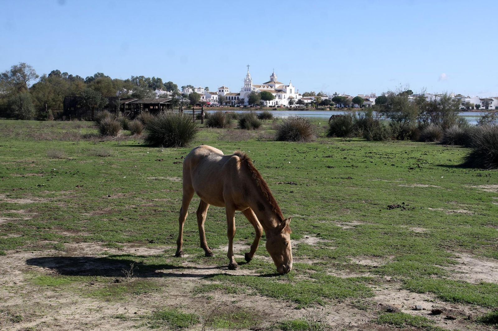 Imágenes de la marisma de El Rocío y de la laguna de El Portil tras las últimas lluvias