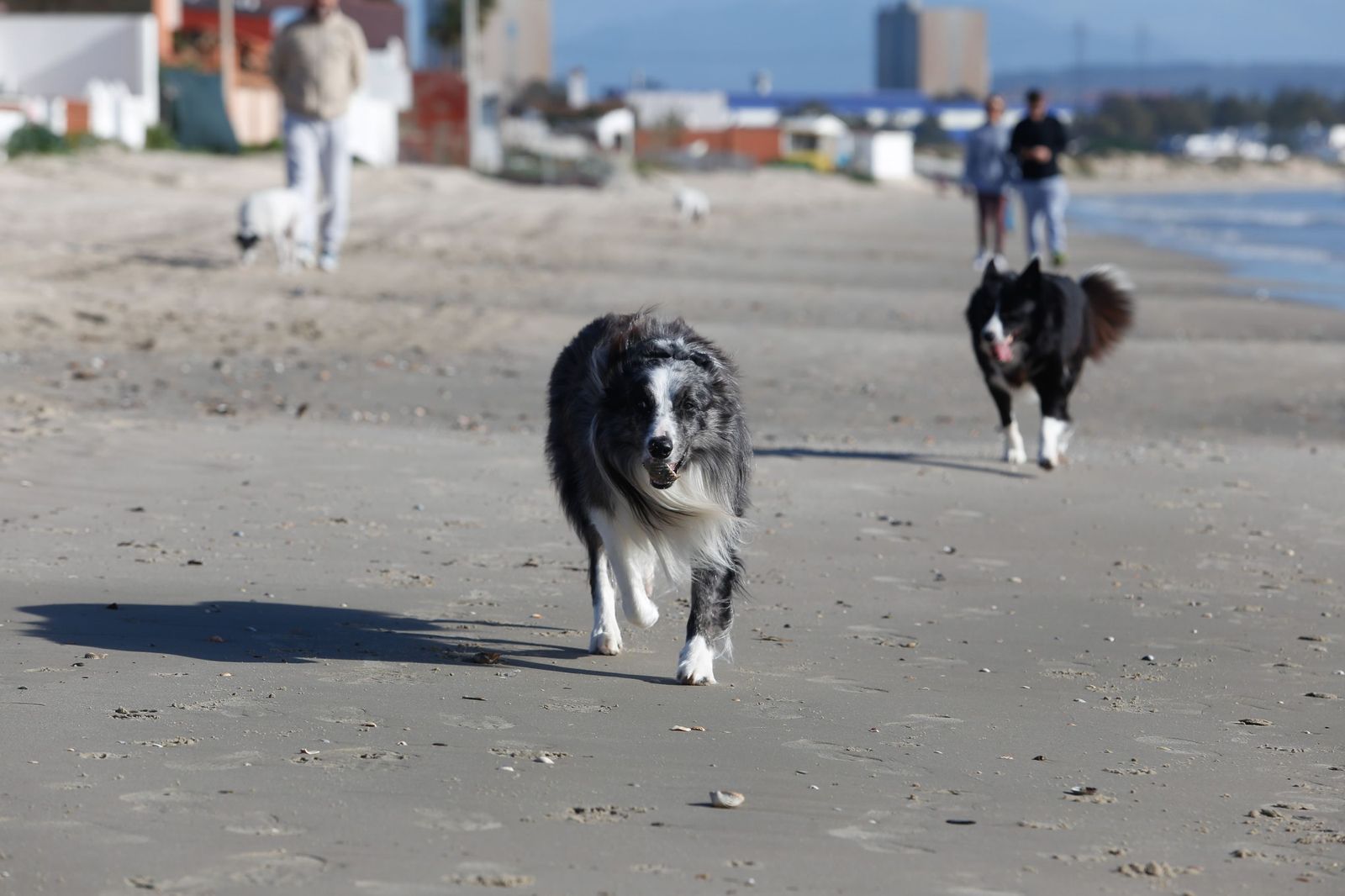 Las fotografías de los daños de las últimas borrascas en las playas de Getares y El Rinconcillo, en Algeciras
