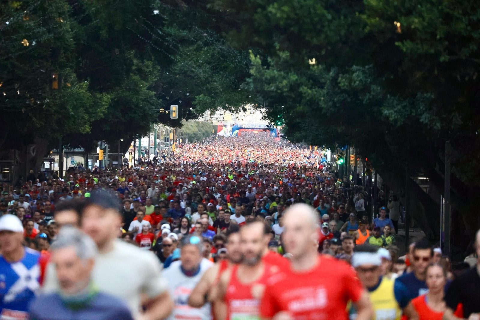 Las mejores fotos de la Maratón de Málaga 2024