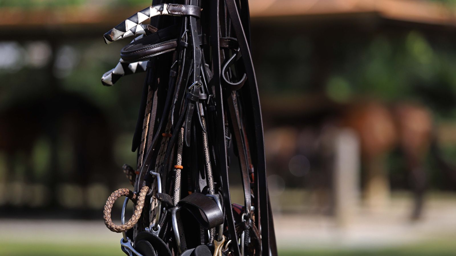 El polo desde dentro