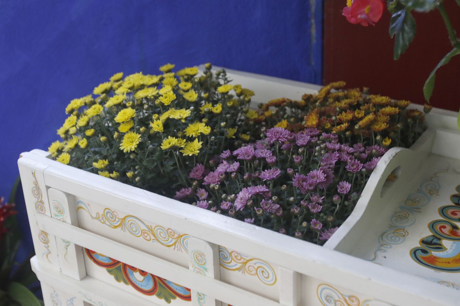 Las fotografías de los Patios de Córdoba en otoño