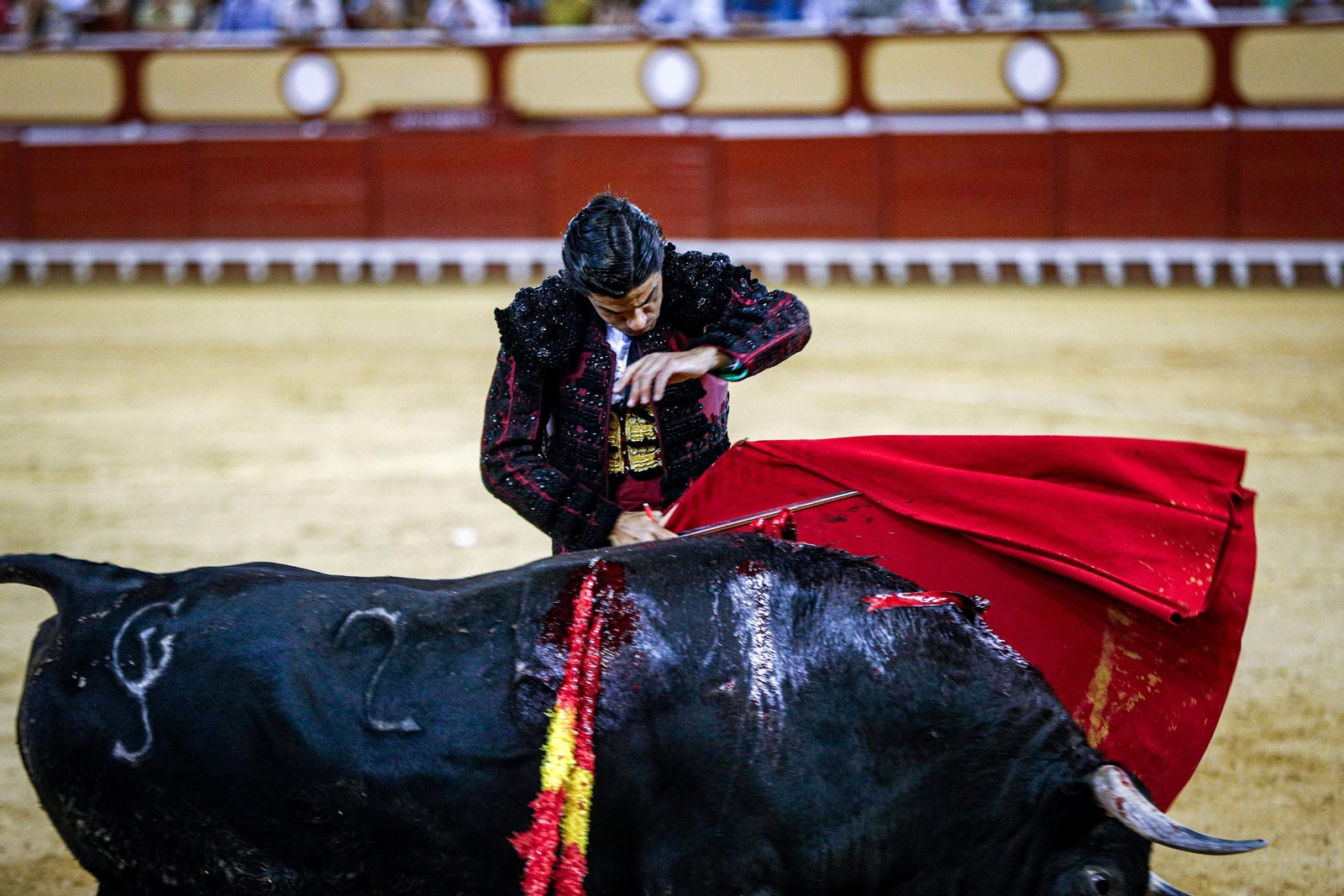 Imágenes de la corrida de toros en El Puerto: Manzanares, Roca Rey y Pablo Aguado