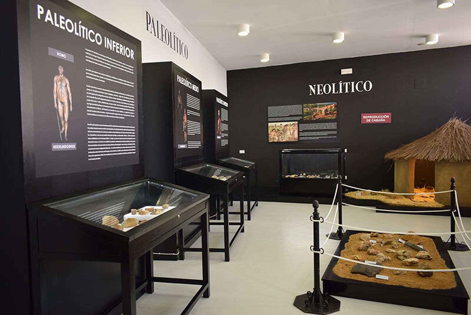 Exposición Arqueológica Municipal