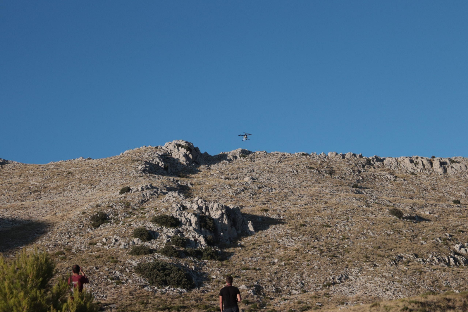 Restauración del Monte Público Patrimonial de la Junta de Andalucía El Cortijico.