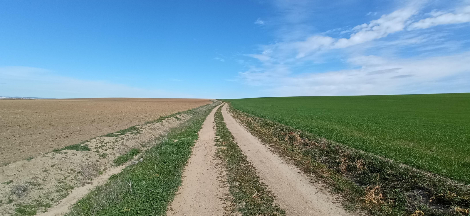 Las imágenes de la ruta de la dehesa de Albaida del Aljarafe