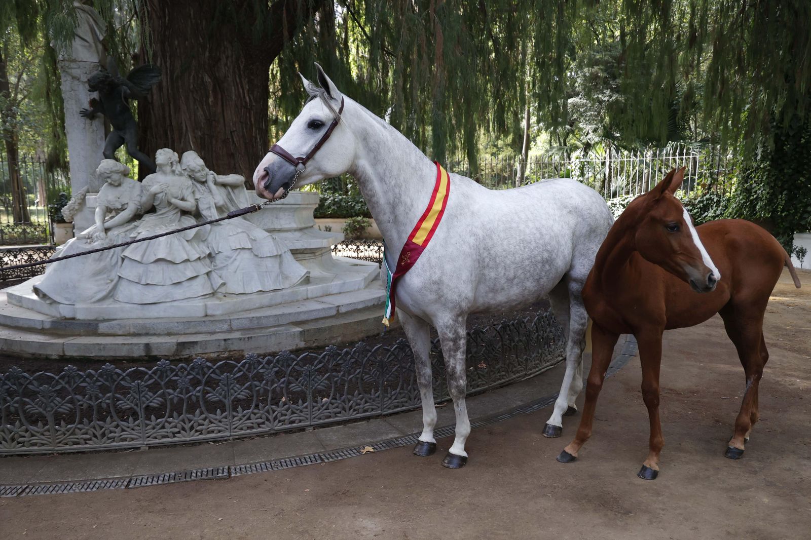La yegua 'Brava' y su potro 'Galleta', en la presentación de la Gran Semana Anglo-árabe de Sevilla, en la Glorieta de Bécquer.