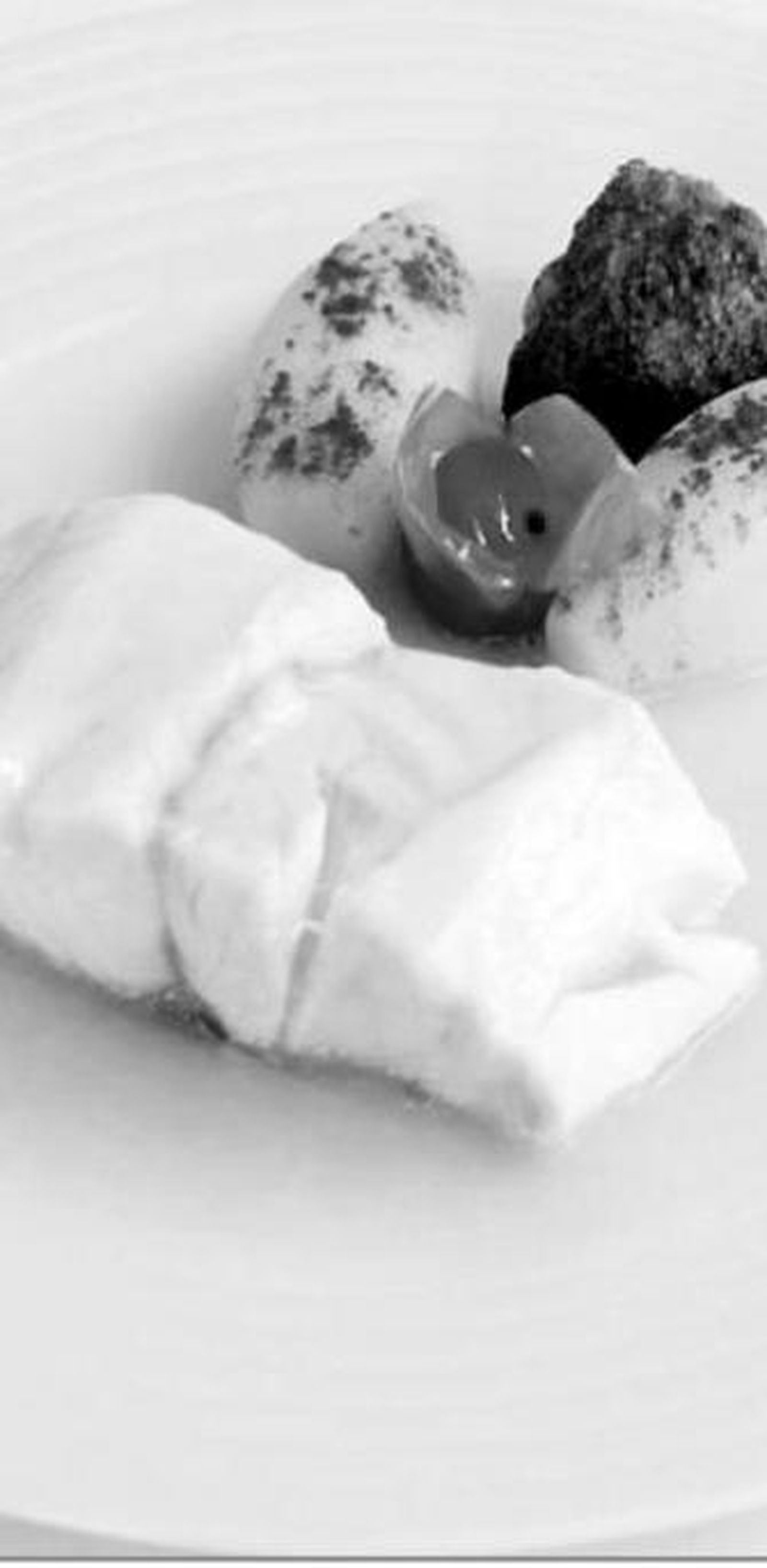 Lomos de merluza al vapor con pil-pil