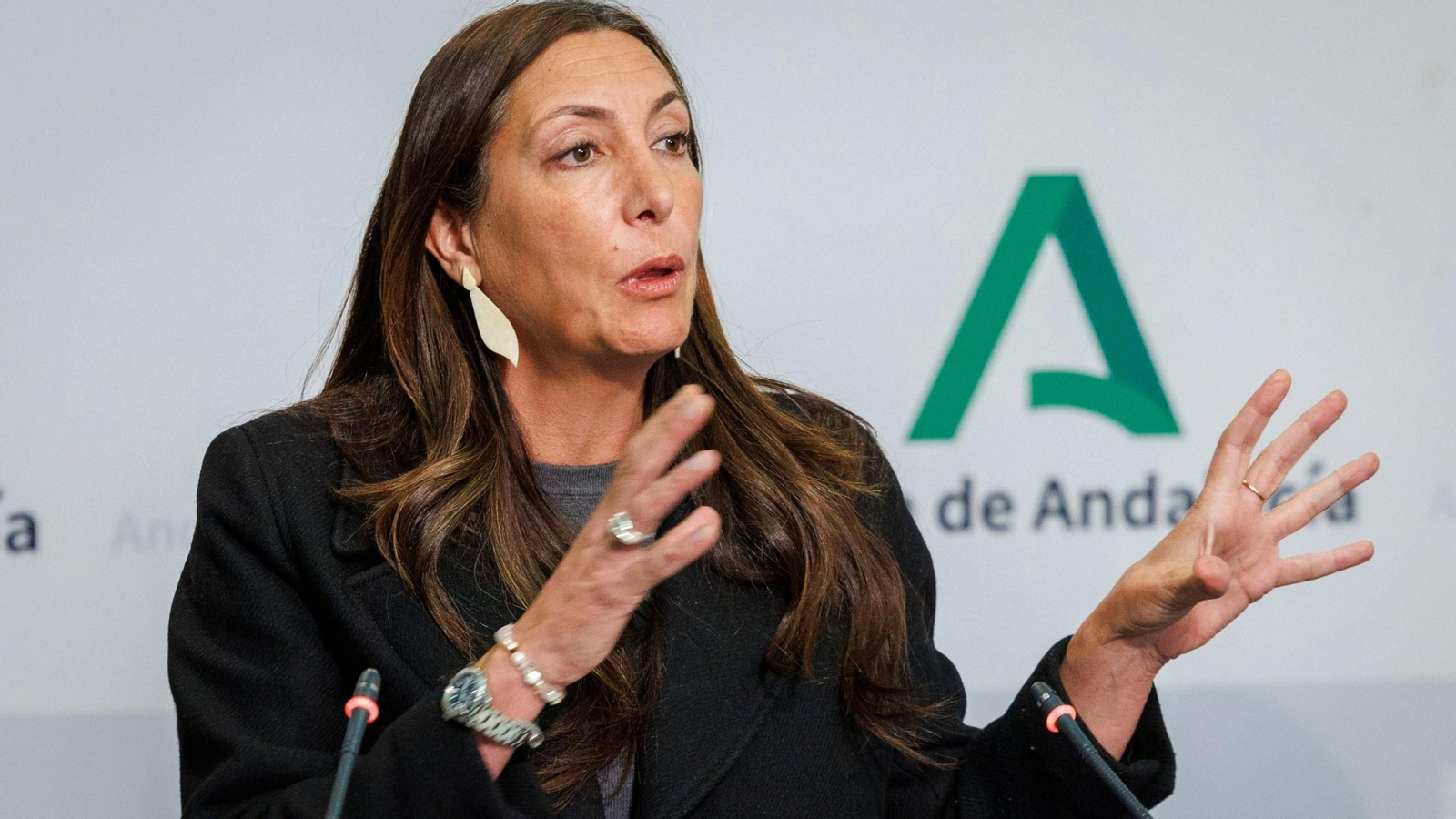 La consejera de Asuntos Sociales, Loles López, en rueda de prensa.