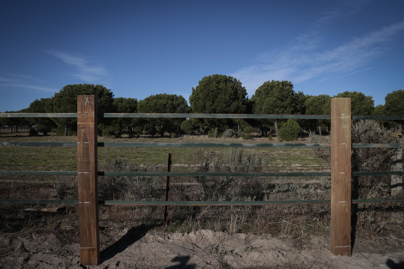Imagen de la finca Los Mimbrales en el Parque Nacional de Doñana.