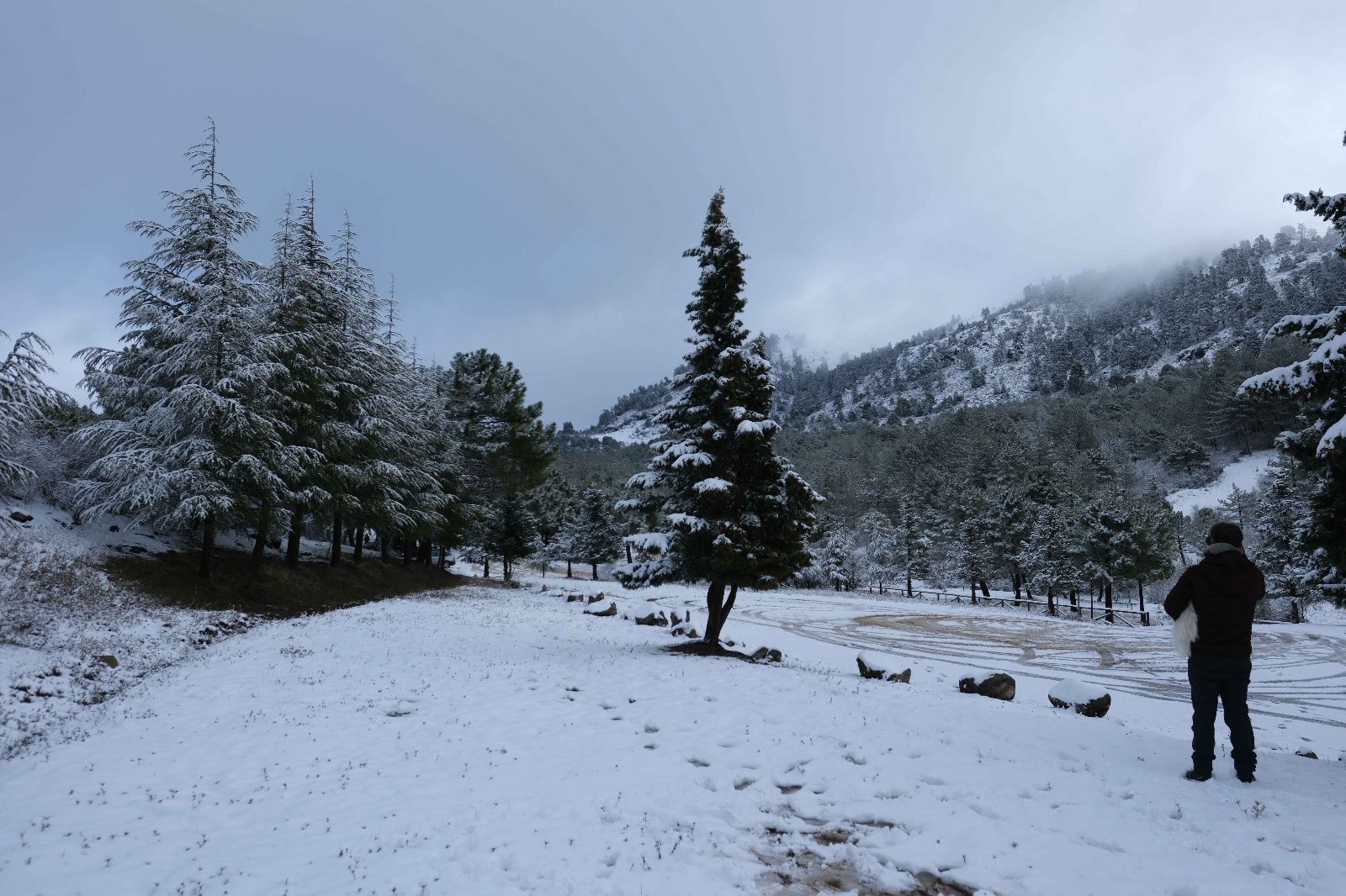La nieve tiñe de blanco la Serranía de Ronda