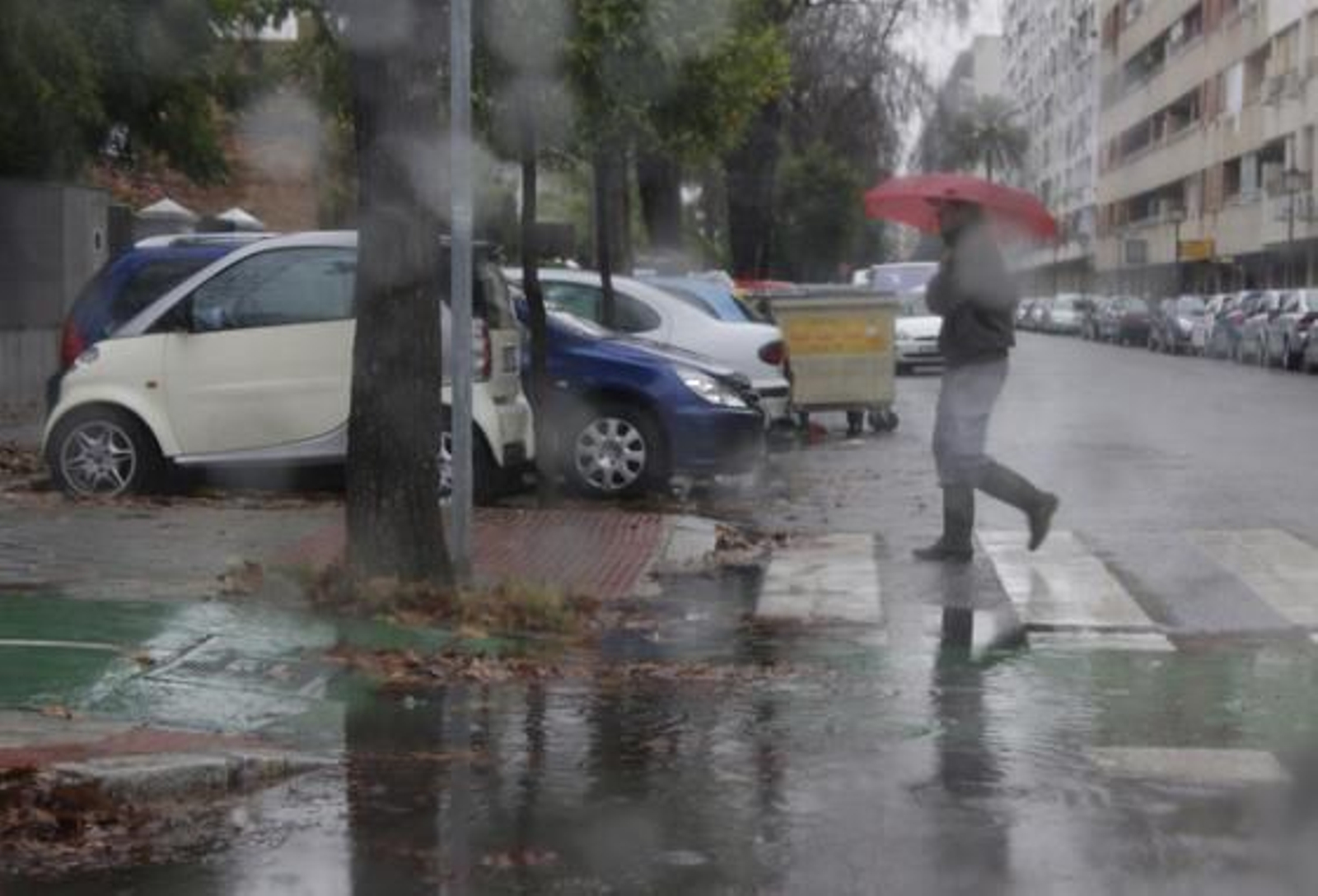 La alerta naranja de jornadas pasados ha dado paso a un situación sólo de riesgo donde las precipitaciones continuarán hasta la Nochevieja.

Foto: J.A. García / V. Hidalgo