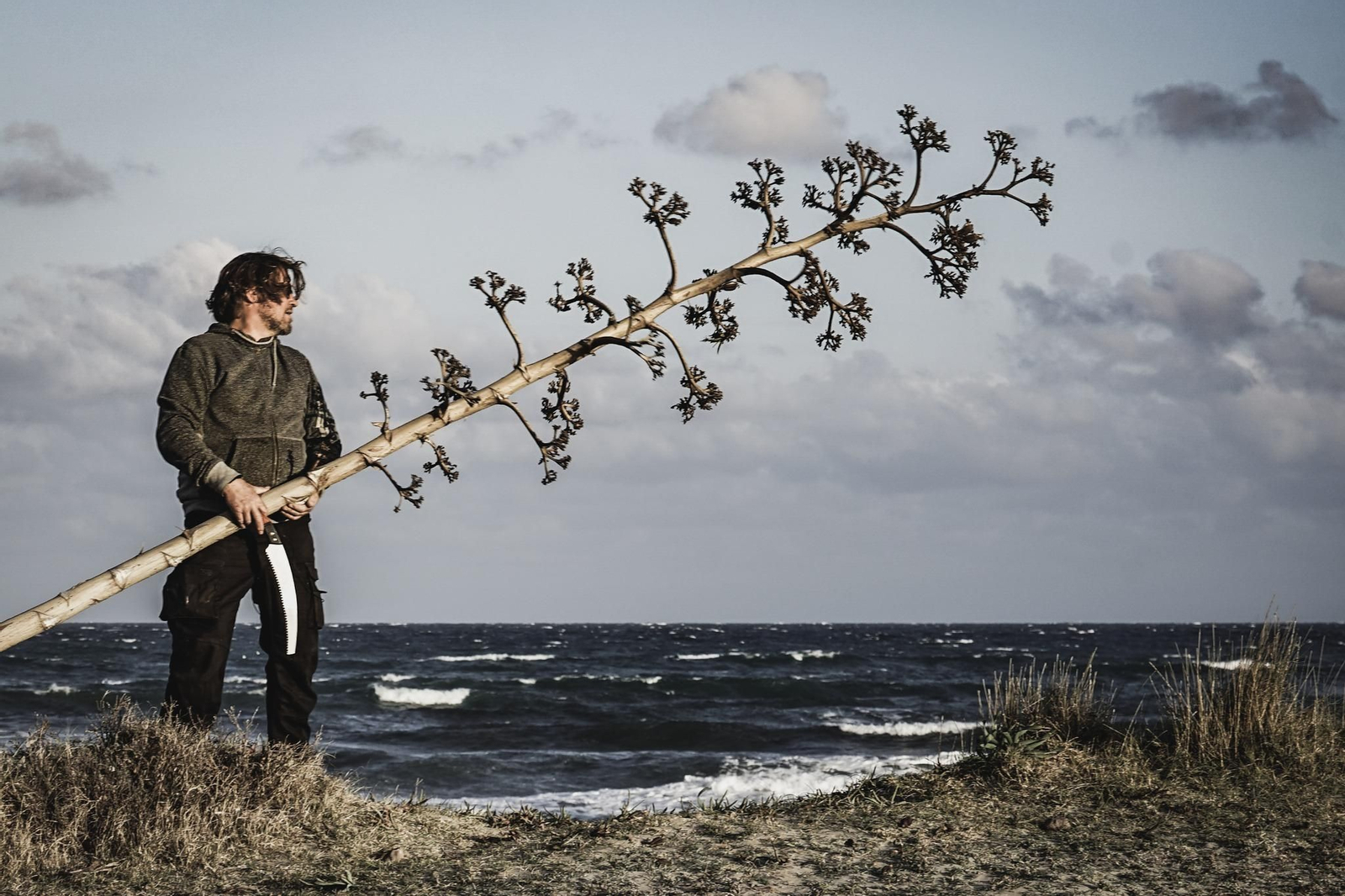 Tim Bernhardt lleva tres décadas trabajando con la madera de agave (Pita).