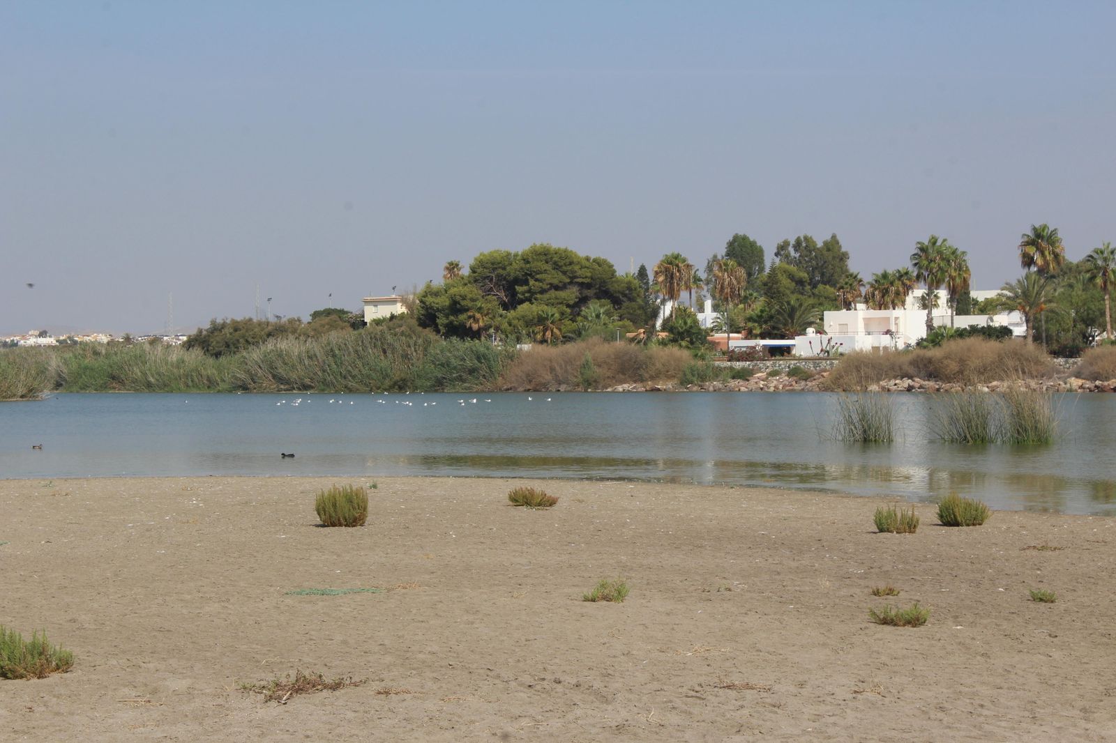 El Ministerio licita la redacción del proyecto para la laminación del río Antas en Vera