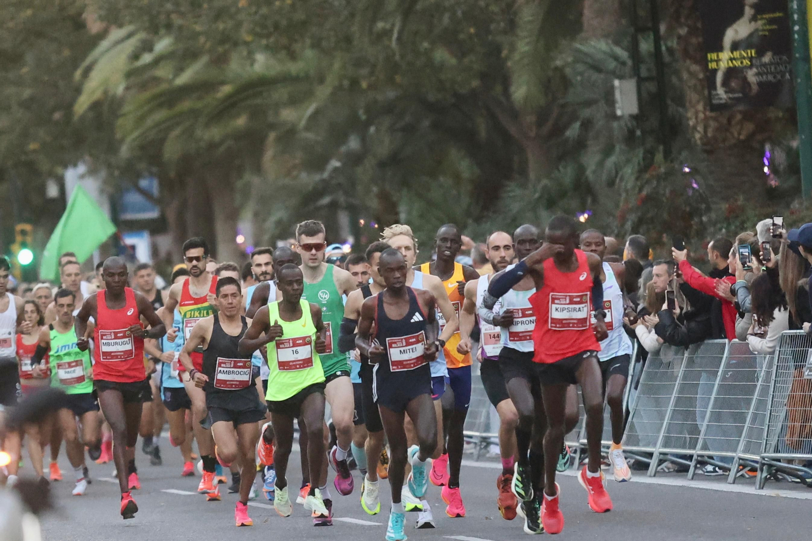 Las fotos de la Maratón de Málaga 2023