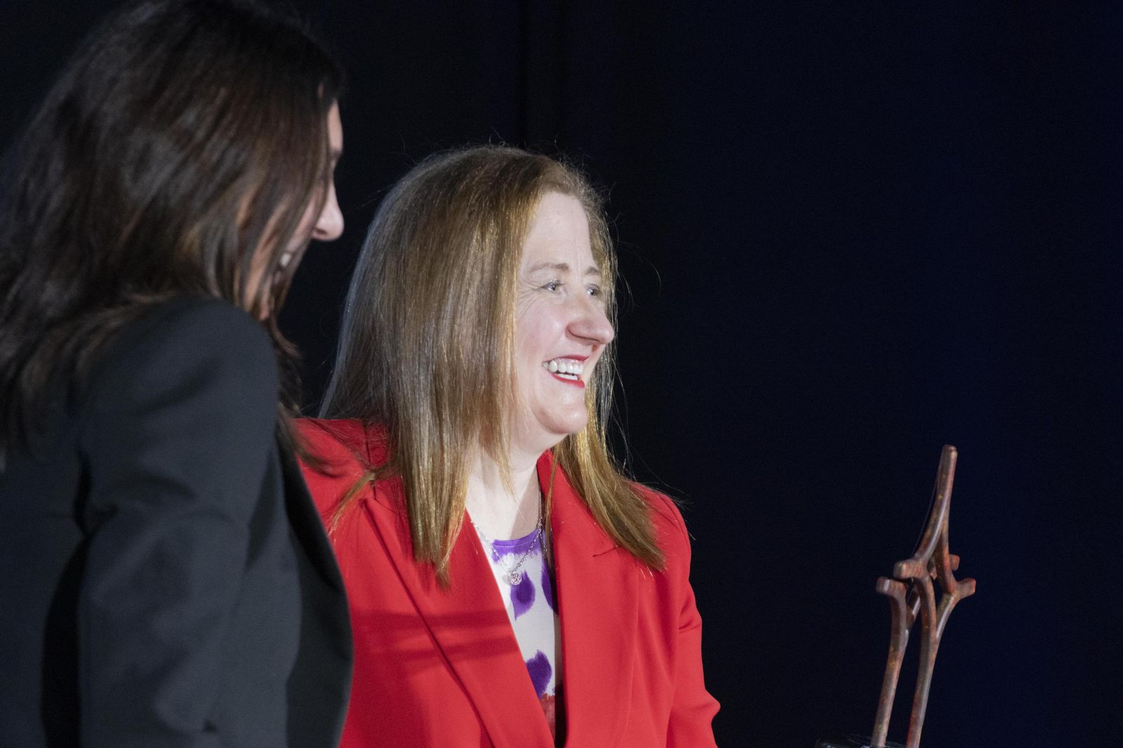 La entrega de los Premios Meridiana, en imágenes