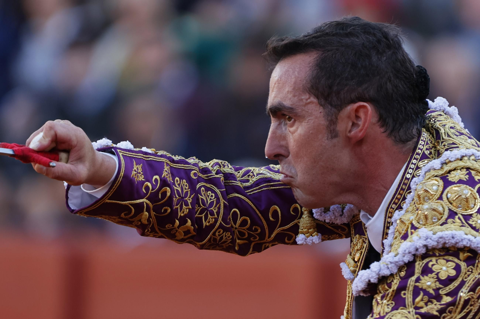 Las Imágenes del festejo