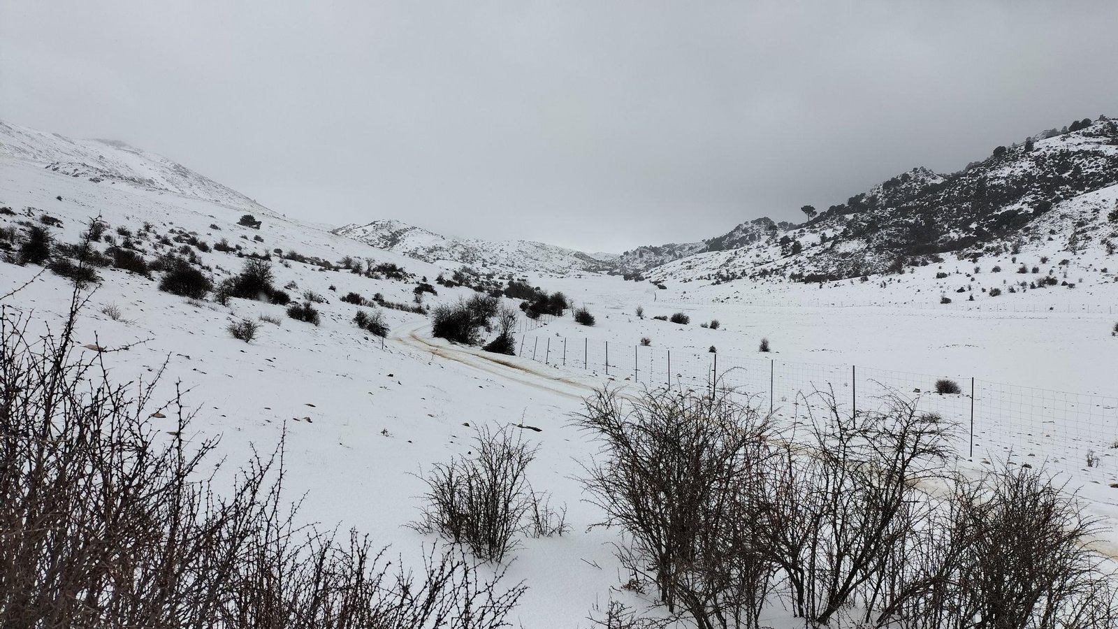 Campos nevados en Hernán Pelea.