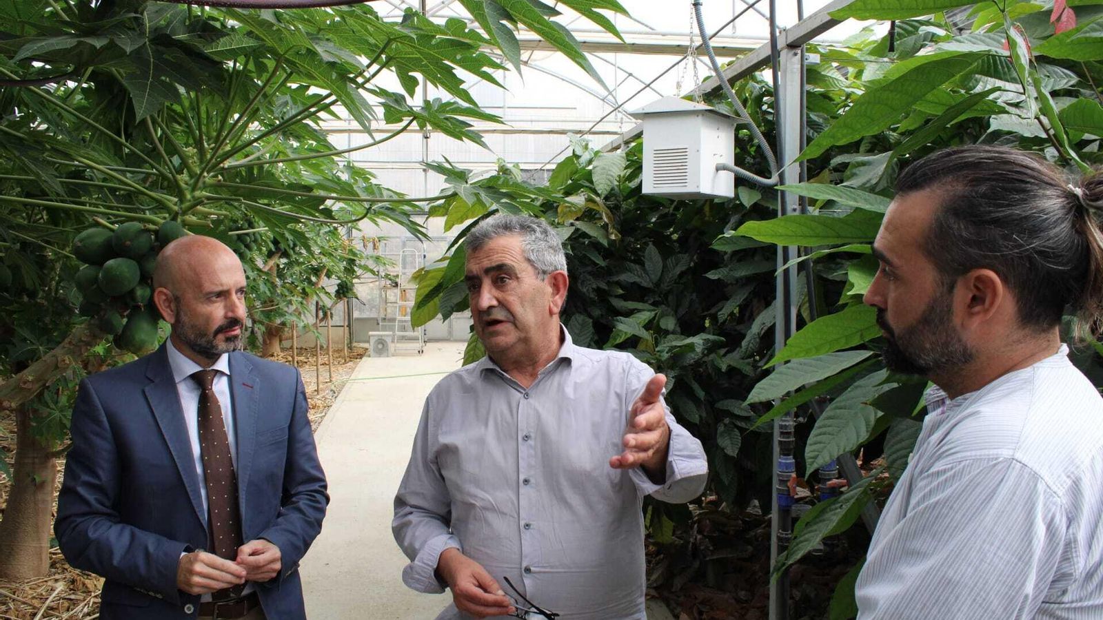 Visita a La Mayora dentro del Programa Cultiva 2022.