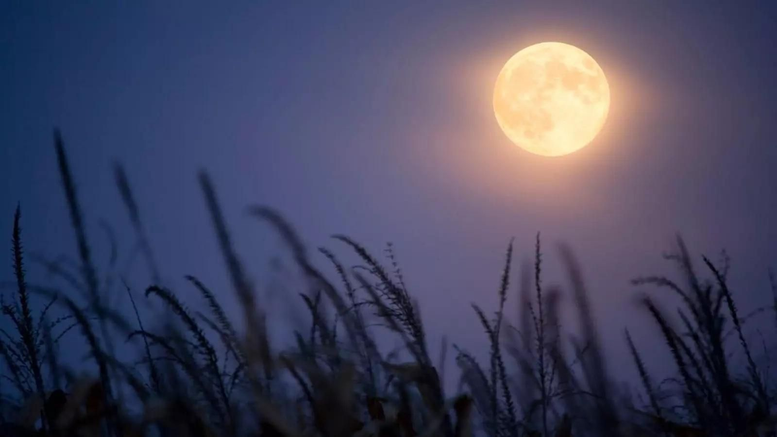 La luna Llena de septiembre es conocida como la "Luna de la cosecha"