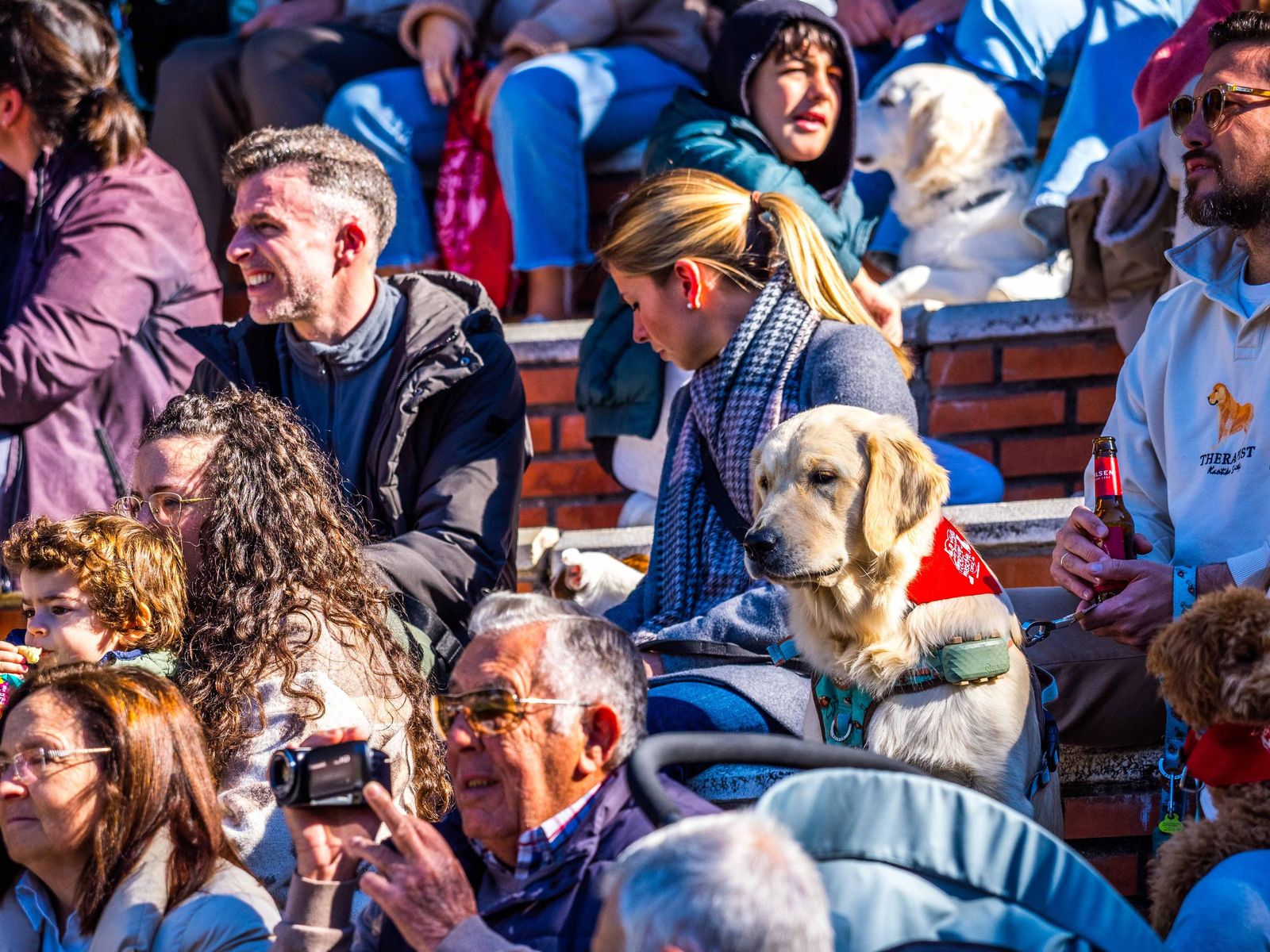 Las imágenes de San Antón 2025 en San Fernando