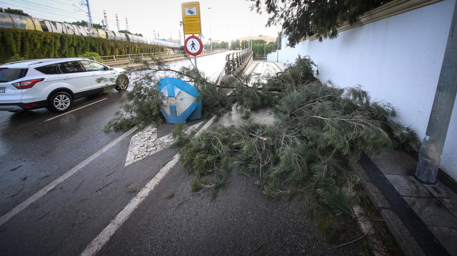 Caos en Jerez por los destrozos del temporal de viento