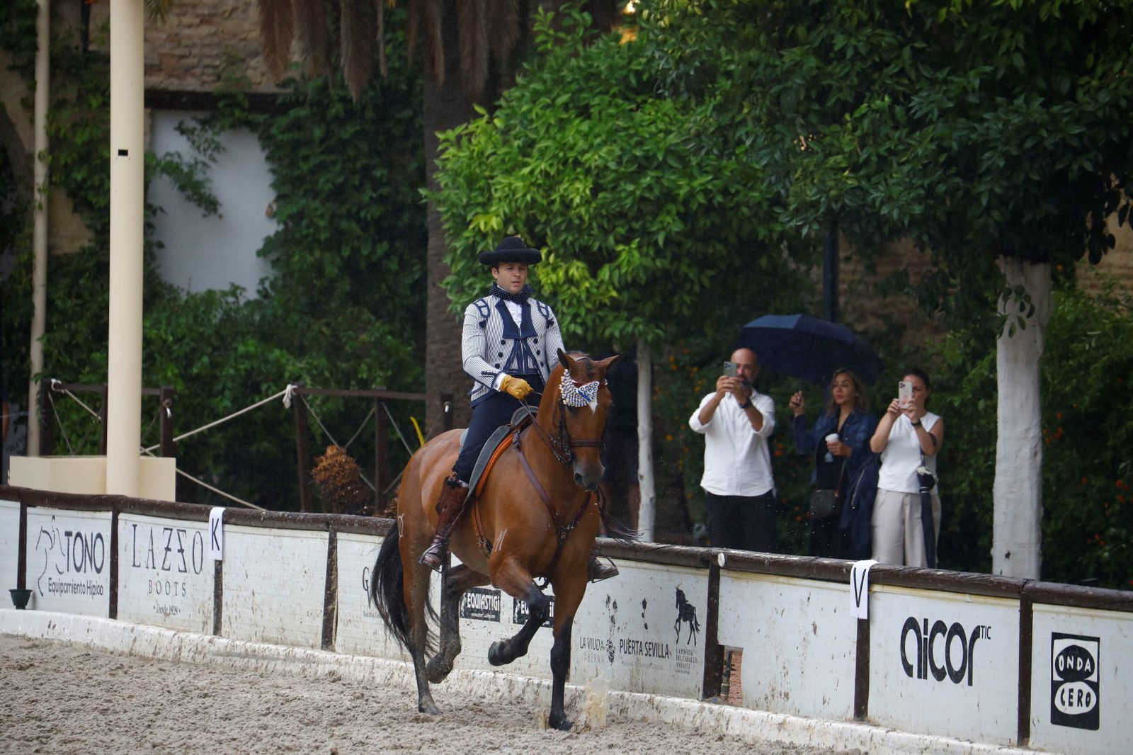 La celebración de la VI Copa de España de Alta Escuela en Córdoba, en imágenes