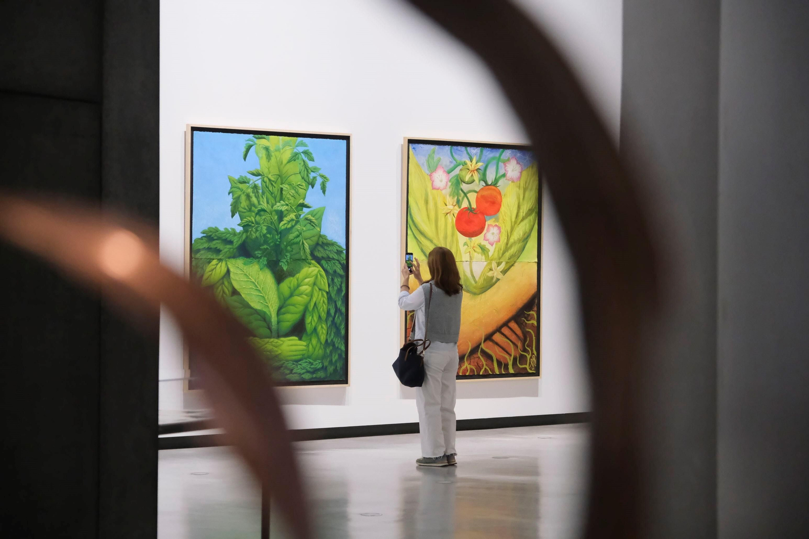 La exposición 'Sombra verde' de Federico Guzmán en el C3A de Córdoba, en imágenes