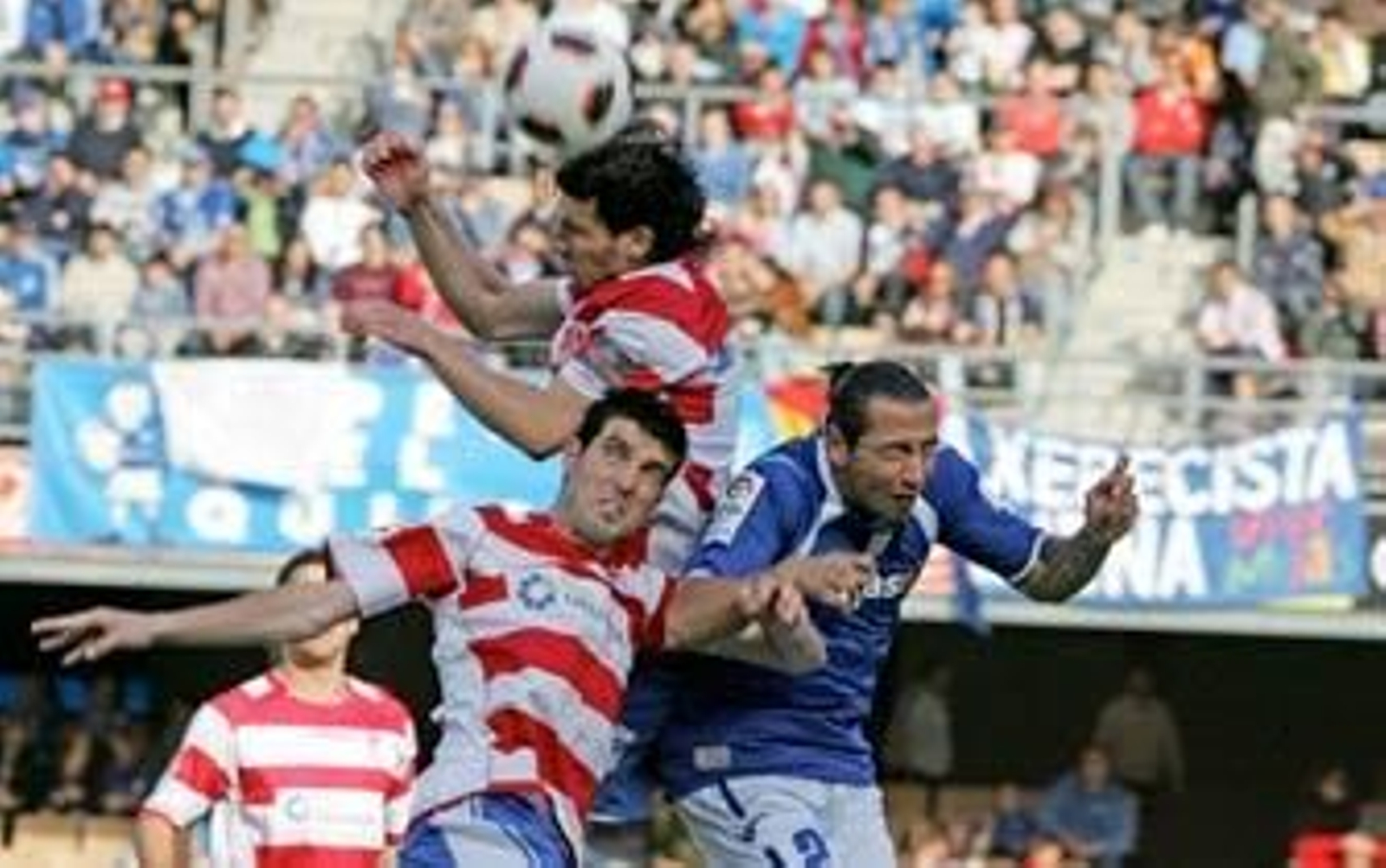 Premio a la insistencia